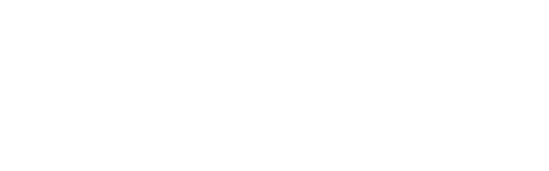 Pure Light Electric